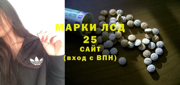 сатива Горнозаводск
