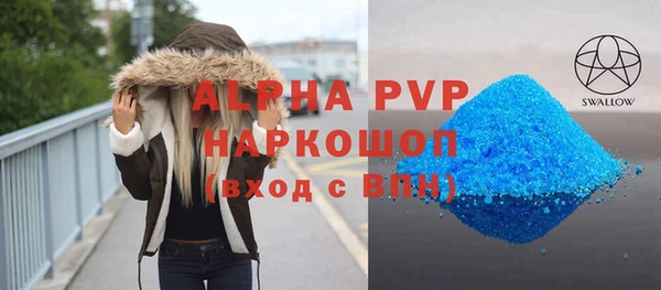 эйфоретик Гусь-Хрустальный