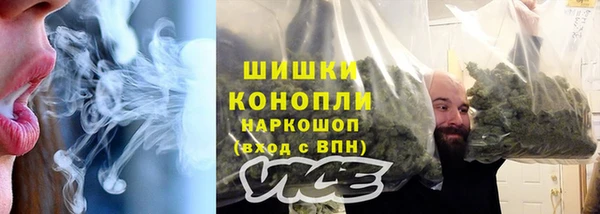 молекула духа Шадринск