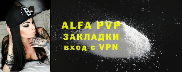 сатива Горнозаводск