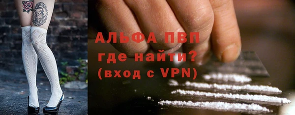 сатива Горнозаводск