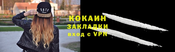 сатива Горнозаводск