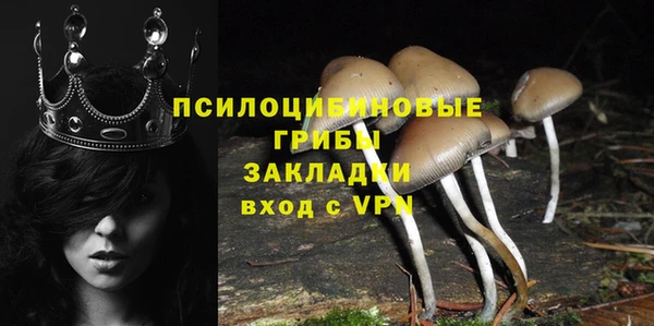 хмурый Горно-Алтайск