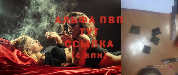 сатива Горнозаводск