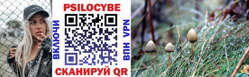 Галлюциногенные грибы GOLDEN TEACHER  shop Telegram  Мглин 